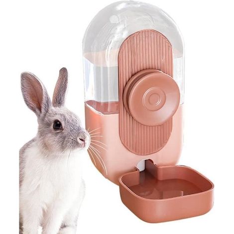 Distributeur d'eau pour lapin - Automatique - Blanc - 800ml - Anti-fuite (1/4)