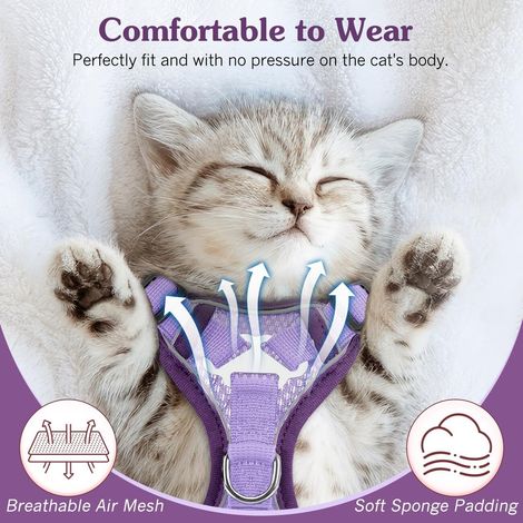 Harnais pour chat avec laisse - Ensemble de promenade réglable et anti-fuite pour chaton et petit chien - Confortable et respirant (1/5)