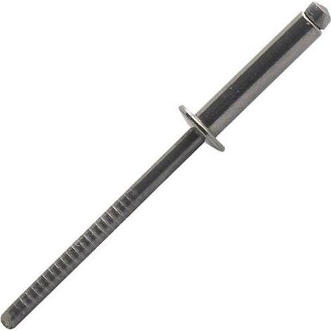 Scell-it Remache estándar acero inoxidable A2 4x12 mm