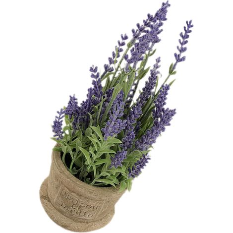 Lavande Artificielle en Pot Décorative Bonsaï Artificiel Pot Violet Plante Fausse pour Décoration Intérieure Salon Bureau sans Entretien Ambiance Naturelle et Fraîcheur (1/5)
