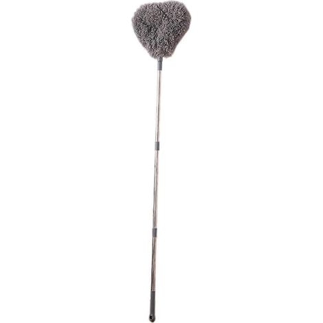 Brosse à poussière grise en acier inoxydable à long manche (1/5)