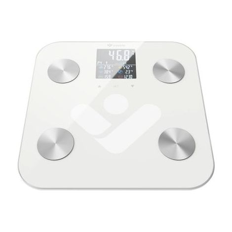 Truelife FitScale W6 BT báscula blanca inteligente (1/3)