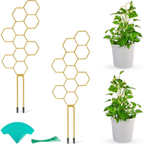 Lot de 2 supports pour plantes grimpantes de 35,5 cm (14 pouces), en métal alvéolé doré. (1/5)