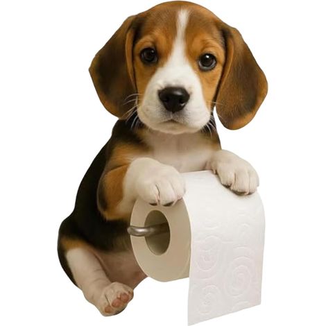 Porte-papier toilette décoratif pour la cuisine (1/5)