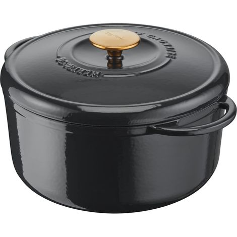 Tefal Pierre Wagnaire Héritage - Casseruola in ghisa di acciaio, 25 cm (5 L), induzione, rivestimento smaltato, coperchio speciale condensazione, ritenzione di calore, cottura lenta, grigio lucido (1/5)