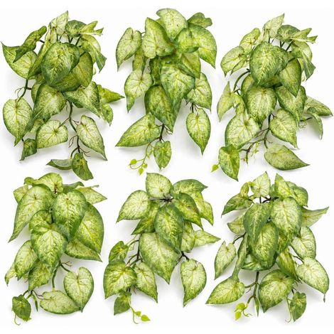 Pack of 6 x 25cm Artificial Trailing Variegated Caladium Vine Plant Light Green - Premium Quality (1/5)
