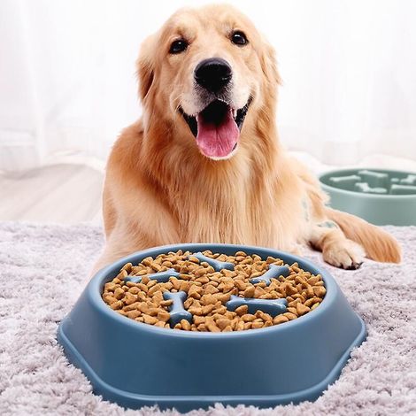 Großer blauer Fressnapf für Hunde mit Anti-Fress-Funktion für gesundes Fressen und langsame Verdauung, mit rutschfestem Boden. (1/5)