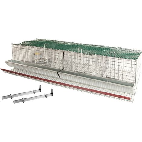 Cage murale pour perdrix et cailles à 4 compartiments 100 x 50 x 21 cm  Cage à perdrix avec grille et mangeoire linéaire (1/5)