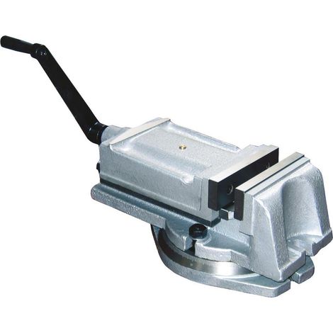 Etau pour machines-outils avec table rotative de 160 mm Holzmann i160