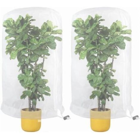 Filet pour Arbre Fruitier, Lot de 2 Filet de Protection Contre Les Insectes, Filet de Protection des Plantes, Filet de Protection Les Parasites, pour Légumes, Fleurs, Fruits, 0,8 x 0,8 m
