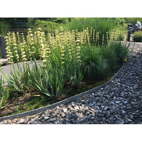 Bordure de jardin flexible en rouleau – Imputrescible et 100% recyclé – H14cm x 10m – Pour aménagements courbes et zones de passage – Ecolat (1/2)