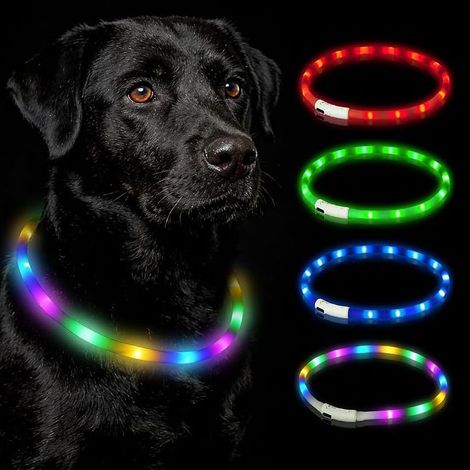 LED Dog Collar, USB Rechargeable LED Dog Collar, Flashing Safety Collar, 3 Lighting Modes, Cut to Any Size, for Small Medium Large Dogs