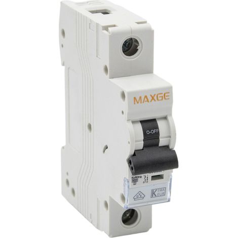 Interruptor Automático Magnetotérmico industrial 1P Curva C 25 A