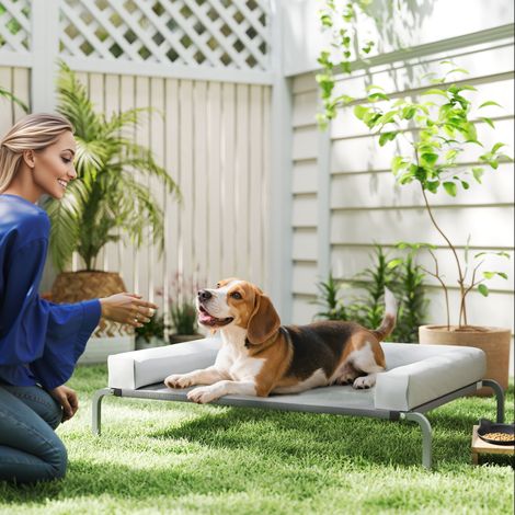 Cama Elevada para Perros Refrescante con Refuerzos Extraíbles Malla Transpirable y Marco de Acero 110x75x30 cm Gris (1/5)