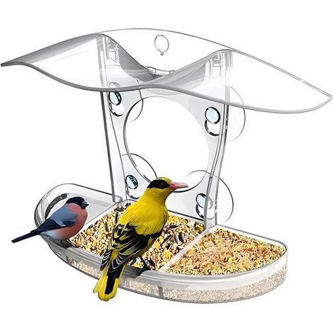 Cette mangeoire à oiseaux transparente pour fenêtre est dotée de quatre ventouses ultra-résistantes et est fabriquée en acrylique durable (1/5)