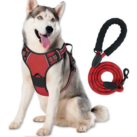 Pettorina per cani, modello con gilet riflettente, pettorina con guinzaglio, taglia L (35-45 kg) (1/2)