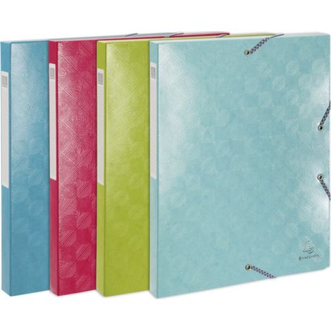 CARP.PROY.EXACOMPTA CART.A4 2,5 cm SURT. - Pack de 8 unidades