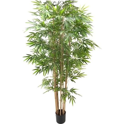 Pianta di Bamboo ornamentale 230 cm. 2480 foglie (1/3)