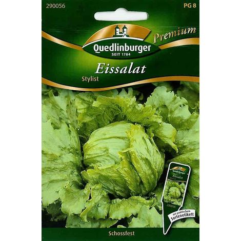 Quedlinburger Eissalat Stylist - Premium Gemüsesamen (1/2)