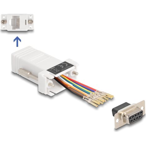 Delock D-Sub hembra de 9 pines a RJ45 hembra, kit de montaje blanco