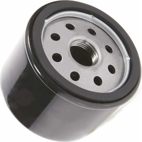 Filtre à huile pour Briggs & Stratton 492932, 842921, 490657007 (1/5)
