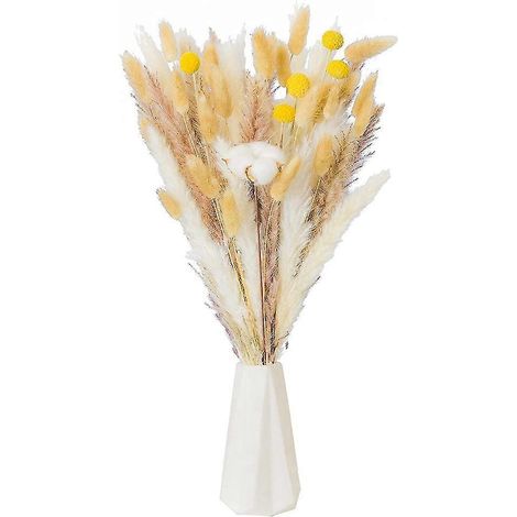 Ornement d’herbe de pampa séchée, pomba naturel pour l’arrangement floral Décoration de maison de mariage Pampas Grass Rabb (1/5)