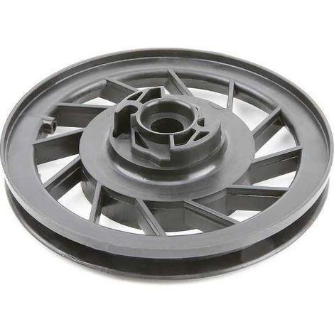 Poulie lanceur pour Briggs & Stratton 492832, 493824