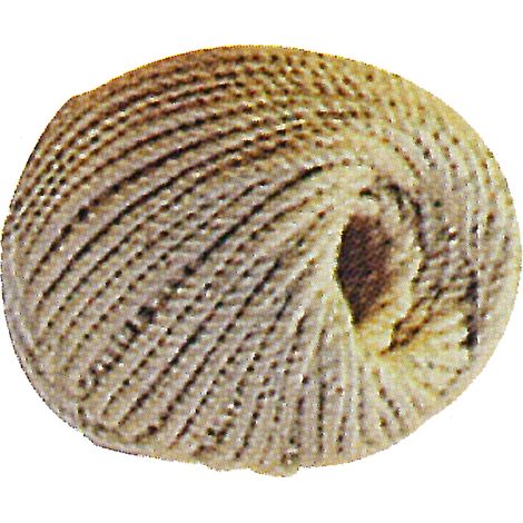 Cordeaux en coton câblé - Ø 3 mm - CORDERIE MESNARD SAS