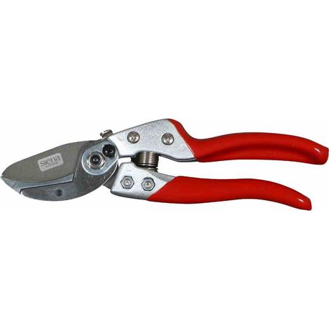 Premium Ambossschere CG1050, antihaftbeschichtete Klinge mit Siena Beschichtung (1/5)