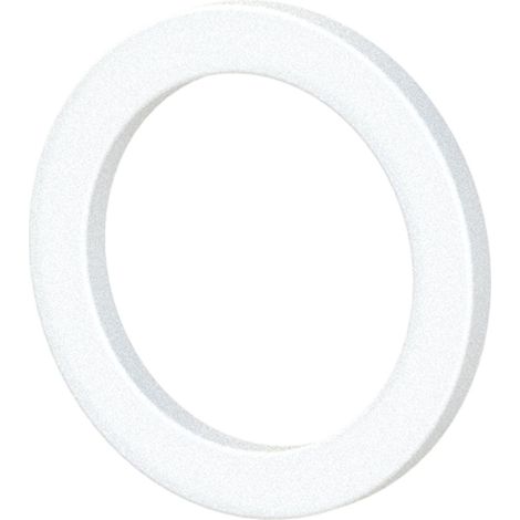 Riegler Dichtring aus PTFE, für Gewinde G 1/4, VPE 100 Stk. 100 Stk (1/4)