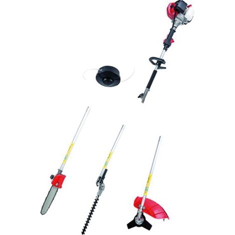 Sandri combiné taille haie sg ts-43 42,7 cc 2 temps (1/2)
