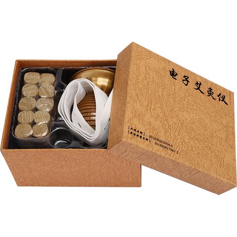 Moxibustion électrique chaude à domicile, boîte à moxa portable, kit de bâtonnets de moxa, soins de santé (1/5)