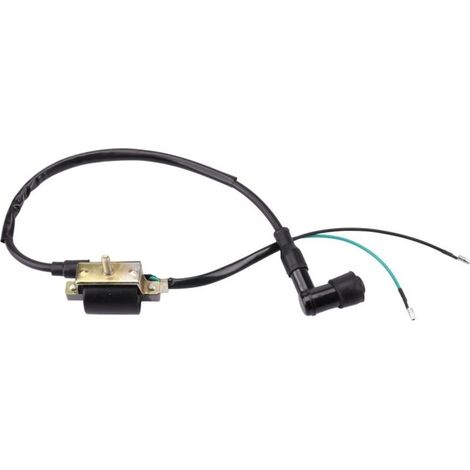 Le transformateur haute tension pour bobine d'allumage convient aux motos tout-terrain, quads et karts de plage à quatre roues de 50 à 125 cm³. (1/4)