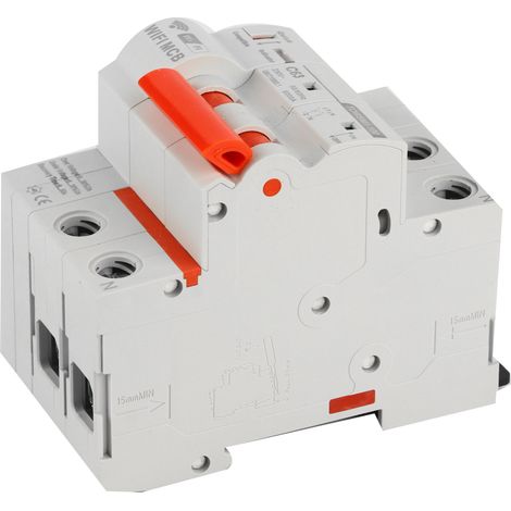 Disjoncteur WiFi intelligent 2P pour montage sur rail DIN, 230 V CA, pour usage domestique ou industriel TOWSM1‑100 (1/5)