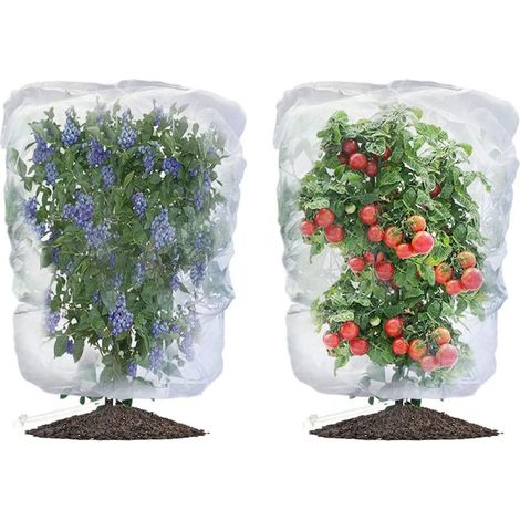 Filet Arbre Fruitier, Filet Anti-Insectes pour Plantes,Filet de Protection Contre Les Insectes,Protection pour Plantes avec Cordon de Serrage et Zipper,pour Protéger Les Plantes en Pot (0,7 x 1 m) (1/5)