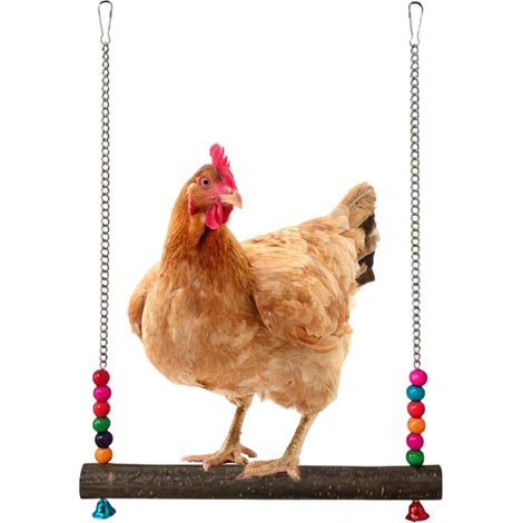 Jouets pour Poulailler - Aire de Jeux en Bois,Jouets pour Poules en Cage et poulailler,pour Se Percher, Grimper, Mâcher, Enrichissement et Le Jeu, Cage d'Enclos pour Volaille de Jardin (1/5)
