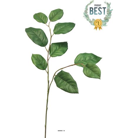 Branche de Gaultheria Shallon artificielle, H 77 cm - BEST (1/4)