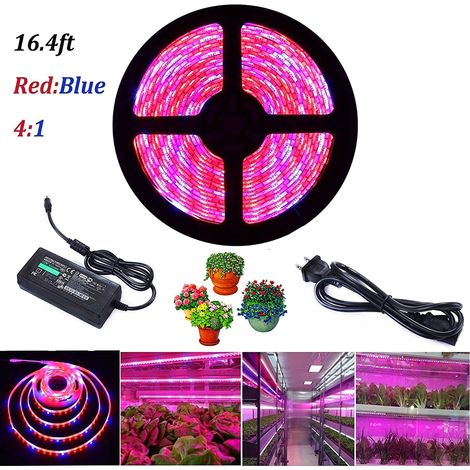 Bande lumineuse LED 300LED pour plantes, étanche, éclairage de croissance végétale pour serre hydroponique