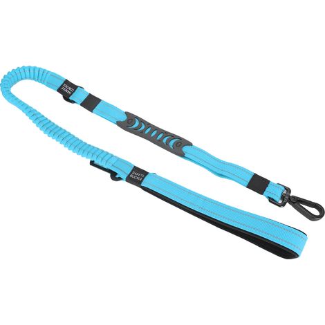 Ceinture de sécurité pour animaux de compagnie, laisse de promenade pour chien, sangle de dressage réfléchissante anti-perte en nylon (bleu) (1/5)