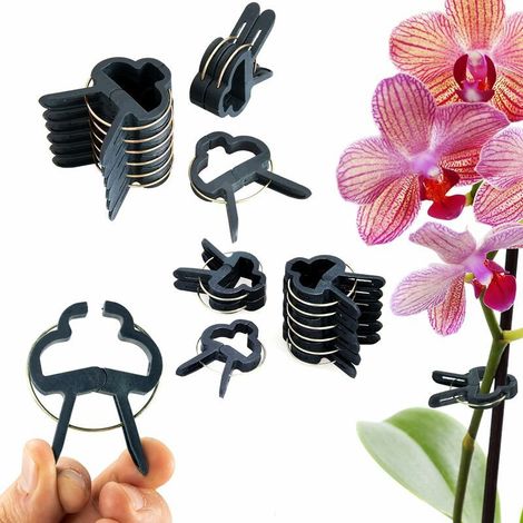 Attaches pour plantes en plastique vert – Lot de 60 liens souples pour tomates, vignes et tuteurs (4 cm et 6 cm) (1/5)