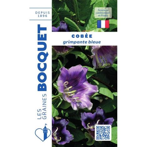 Cobée grimpante bleue - 1,5g