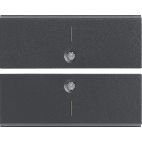 VIMAR - 16842.1 Zwei halbe Tasten 2M Symbol I grau