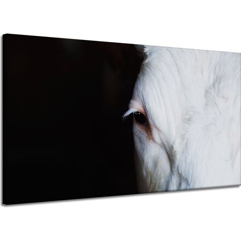 Impression sur toile Animaux Œil de vache 120x70 cm (1/4)