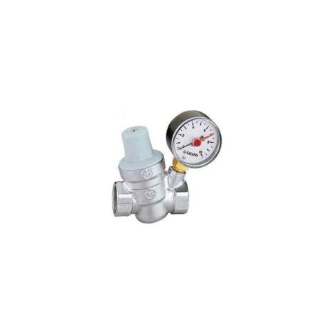 Réducteur de pression incliné de 1/2 pouce avec manomètre et élément amovible, pour installation de plomberie et chauffage (1/4)