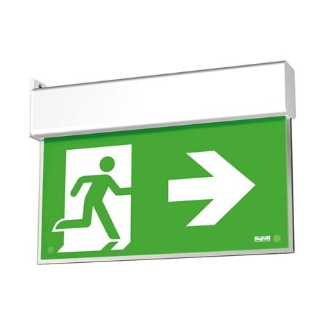 Lampada di Emergenza Up Led Exit DF30M SA 1/2/3h (1/2)