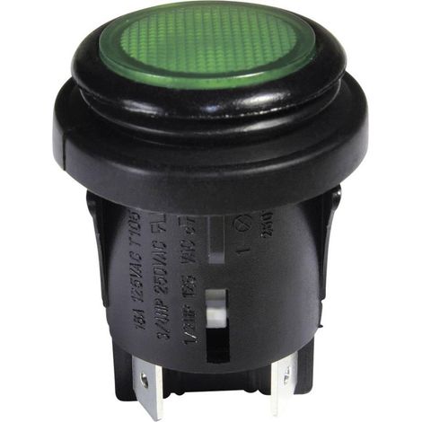 Interbar 4011644007665 Interruptor de presión negro y verde