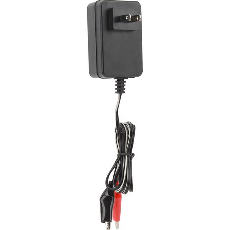 Chargeur de batterie 12V 10W portable universel avec double pince pour vélo électrique scooter, prise US 110V AC 50-60Hz (1/5)