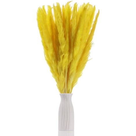 Bouquet de 30 brins d'herbe de la pampa séchée naturelle, ruscus italien, fleurs séchées longue durée, épis de blé duveteux, pour