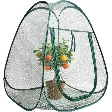 Filet de jardin,filet de protection des plantes, pour cour, patio, porche, paysage, parterre surélevé, pelouse, fleurs, légumes, fruits,707080cm (1/4)