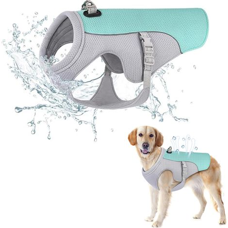 Diese Hunde-Kühlweste/Hybridweste bietet Hitzeschutz, Atmungsaktivität und Wärmeableitung und eignet sich für Spaziergänge, Camping und Jagdtraining. (M) (1/5)